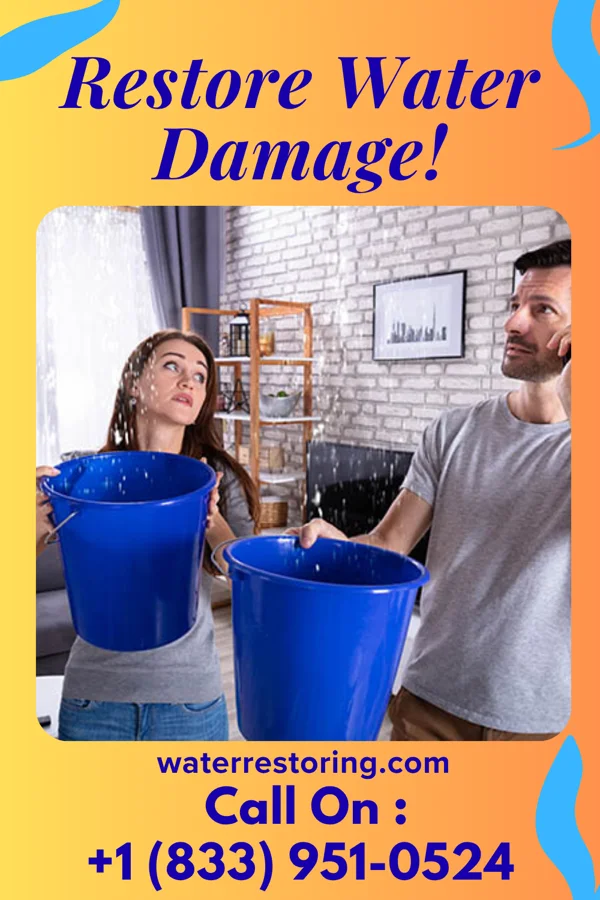 water restoration Frontier Flood Cleanup Team Chapman