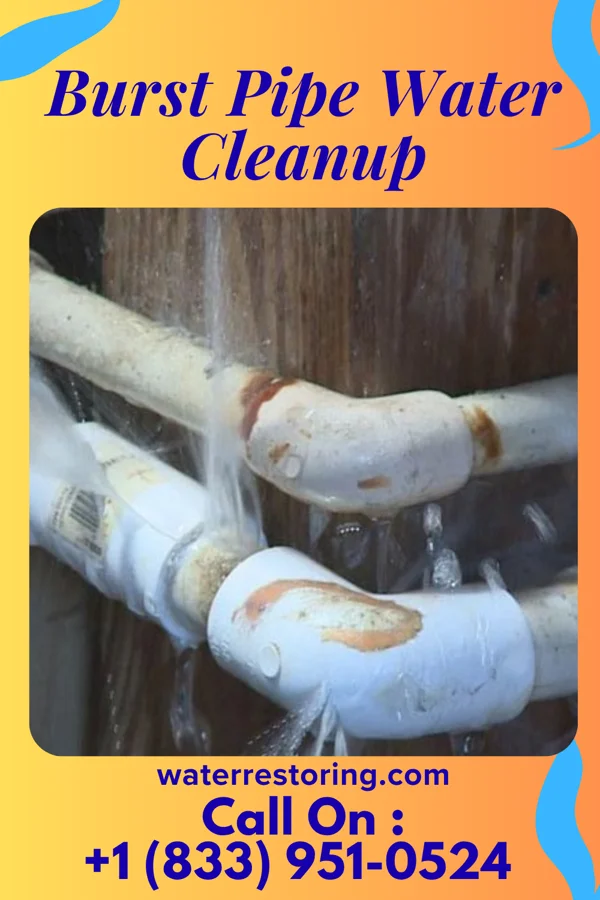 Burst Pipe Water Cleanup in Chapman, PA