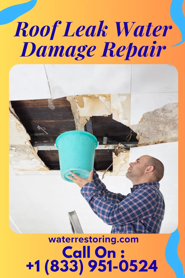 Roof Leak Water Damage Repair in Chapman, PA