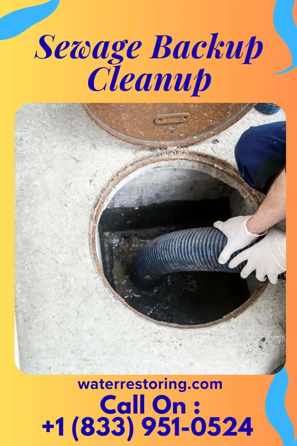 Sewage Backup Cleanup in Chapman, PA